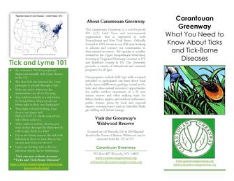 What You Need to Know About Ticks and Tick-Borne Diseases Brochure