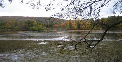 Wildwood Nature Reserve